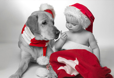 Die Weihnachtssaison ist eröffnet